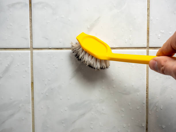 Best Mold Remediation Experts  in Throop, PA