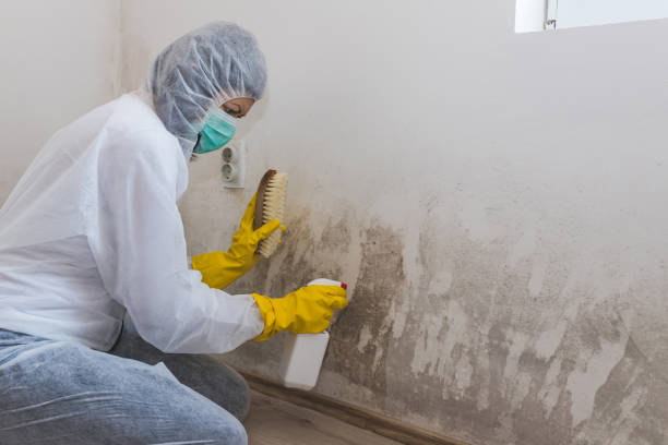 Best Residential Mold Removal  in Throop, PA