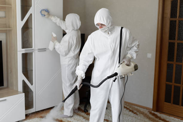 Best Office Mold Removal Services  in Throop, PA