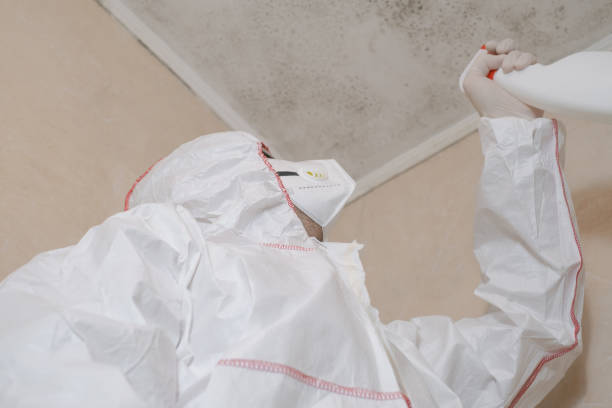 Best Mold Remediation  in Throop, PA