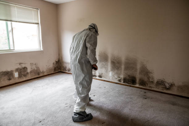 Best Home Mold Removal  in Throop, PA