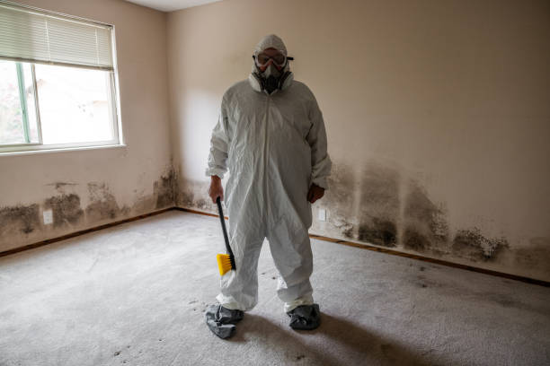 Best Mold Cleaning Services  in Throop, PA